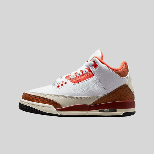 Air Jordan 3 Retro SE Dunk on Mars (GS)