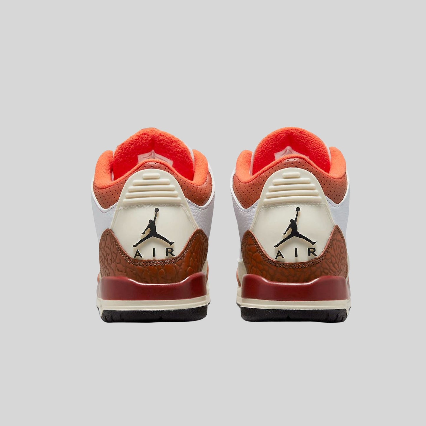 Air Jordan 3 Retro SE Dunk on Mars (GS)