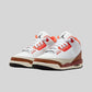Air Jordan 3 Retro SE Dunk on Mars (GS)